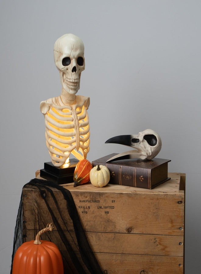 كريزي بونز تمثال نصفي لهيكل عظمي من Crazy Bonez مع إضاءة وصوت، ارتفاعه 16 بوصة - Image 5